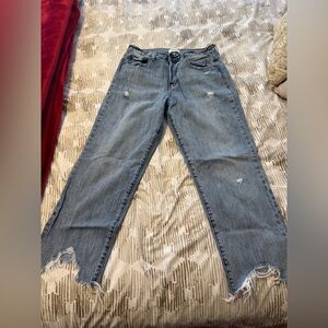 Pistola Light Blue Distressed Straight Leg Jeans